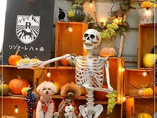 ハロウィン・イヴ🎃