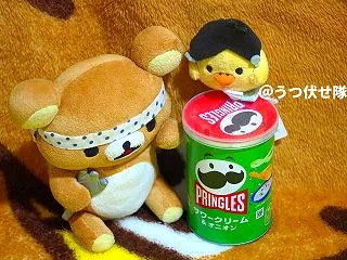 本家サワークリーム