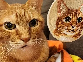 茶太郎くんにそっくり！