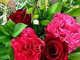 チャンプの花