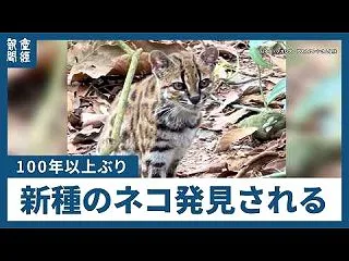 楽韓さん、本日の動向 - あ、24周年で…