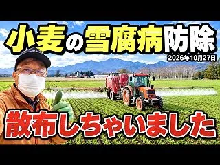 小麦の雪腐病防除【散布しちゃいました】2…