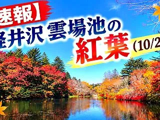 【速報】軽井沢 雲場池の紅葉（10/29…