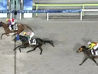 【結果報告】大井競馬 2026年10月2…