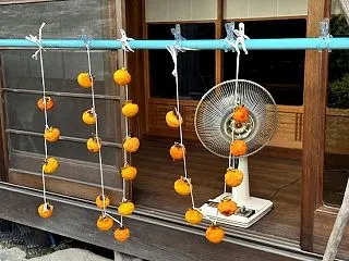 時短干し柿作り 月がとっても青いから 長…