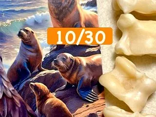2026/10/30