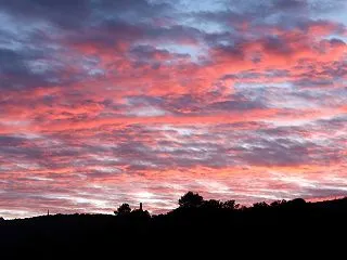 燃える夕雲 赤あざやかに美しい柿の紅葉
