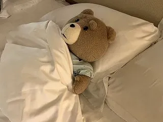 テッド：オレ、夢を見た。。