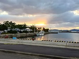 ネタなし