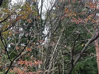 一人旅第21弾 福島4