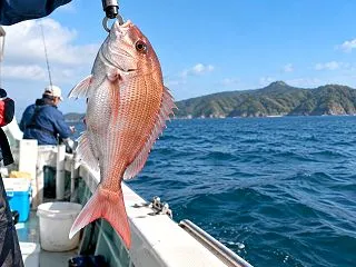 淡路島の鯛釣り｜明石海峡・鳴門海峡のマダ…