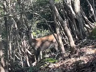 マジに世界中の政府が食料備蓄を呼びかけ始…