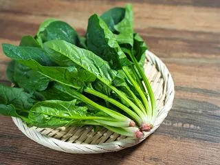 ほうれん草の栄養と効能は本当に貧血にいい…