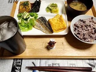 鯖の塩焼きで焼酎炭酸割りGO❗《昨日の家…
