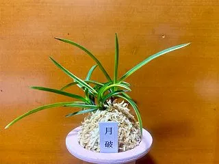 月破