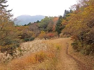 紅葉の箱根・湯坂路ハイキング