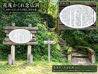 親鸞と魂の循環