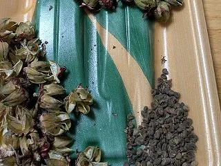 ローゼルで、種を採りました。