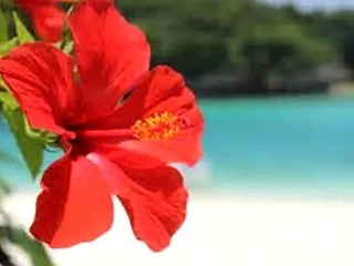 神々の力で運命を動かす！沖縄リトリート
