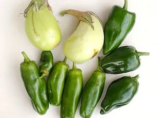 最後の「翡翠茄子」と「スイートパレルモ」…