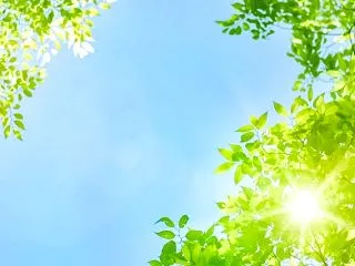 本日（08：45 → 15：45）の売買…