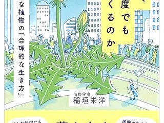 楽しいブックレビュー『雑草は、なぜ何度で…
