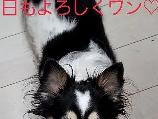 来年の医療費を稼ぎに(^^;