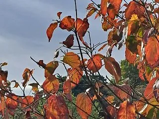 季節の変わり目にすること