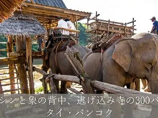 ビアシンと象の背中、逃げ込み寺の300バ…