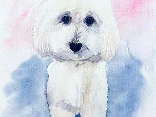 「くらら」です