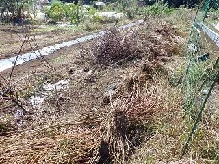 残渣処理にハンマーナイフが大活躍