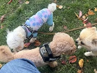 なんだコラっ！！