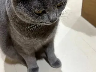 お腹いっぱい、ご機嫌。ぴょんと跳ねる娘