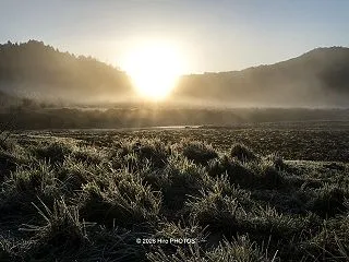 高原の朝