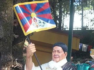 国連前で中国に抗議の焼身自殺を遂げたロガ…