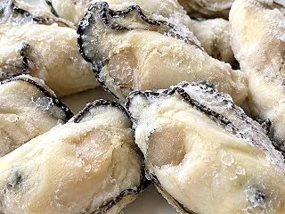 甲羅組 牡蠣 口コミ｜ジャンボ広島かきの…