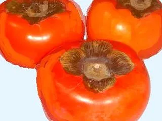 #今日のおやつはこれ 甘くて美味しい柿