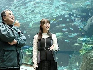 【SKE48】鎌田菜月さんが「水族館の達…