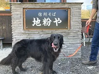 『地粉や』でランチ