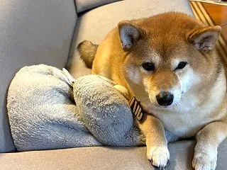通院のやめ時