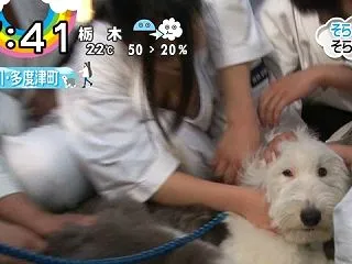 【画像】少林寺少女、胸の谷間をさらけ出し…