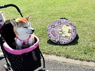 マンホールサミット2026へ♪ vol.…