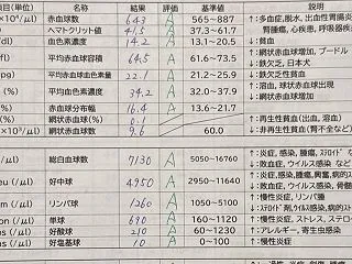 【SINGちゃん】そして、私の初期メディ…