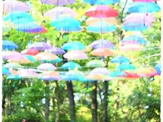 ★場所決めはオマカセ♪★