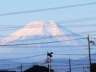 今日は秋カボチャの収穫です