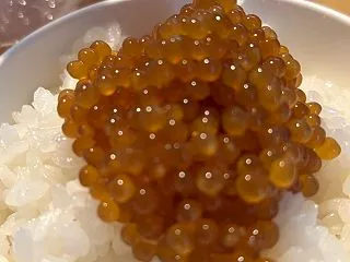 【かじかの子】カジカの魚卵は細胞賦活にお…