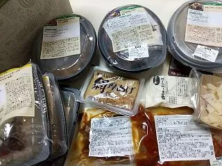デリOisixのハンバーグ