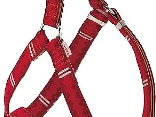 犬用リード・ハーネス・首輪の選び方ガイド…