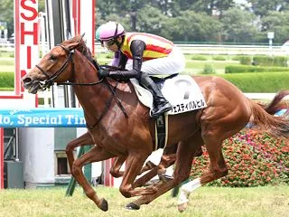 土曜日のWIN5対象レース予想