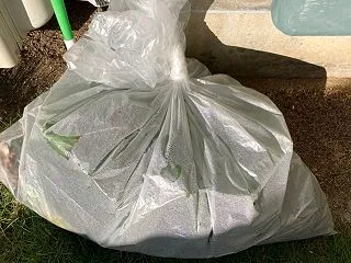 残暑復活